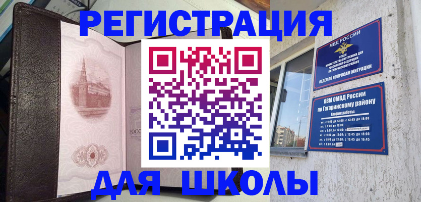 пропишу в квартире в Светлогорске